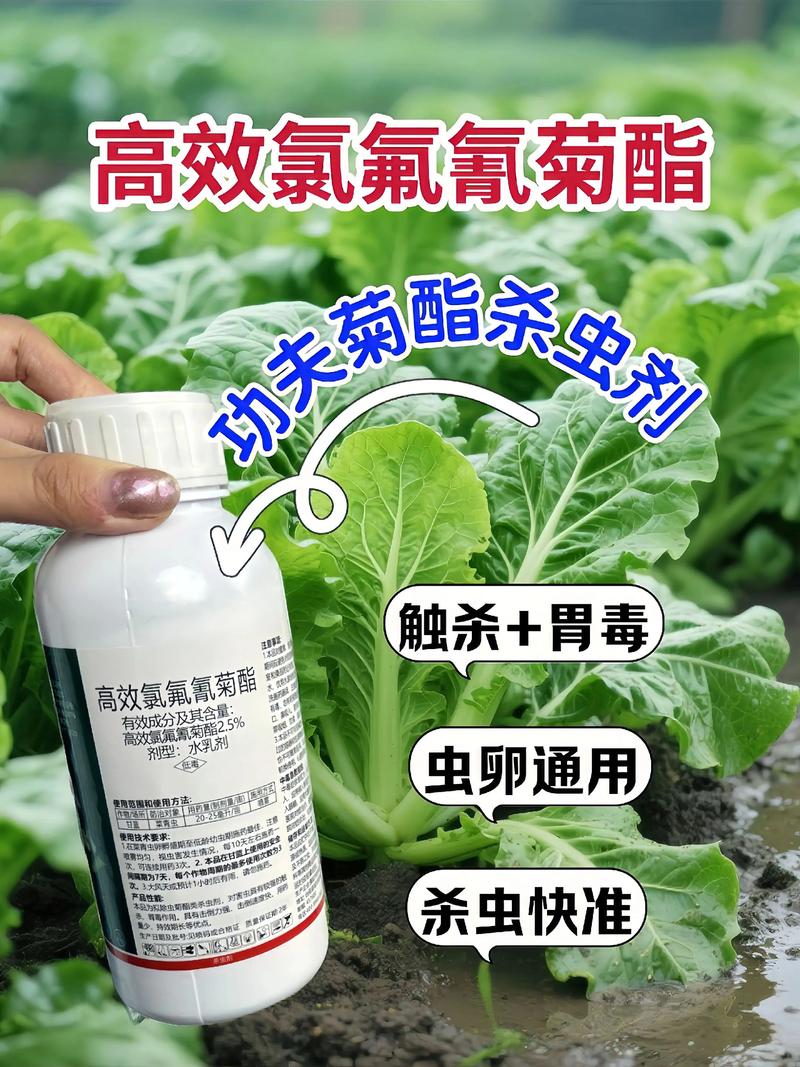 酉阳代生中心:农药对供卵代生妈妈的危害